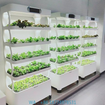 Diy Home Automation System - Iydroponic Automated Grow Systemntelligent Hydroponic Growing