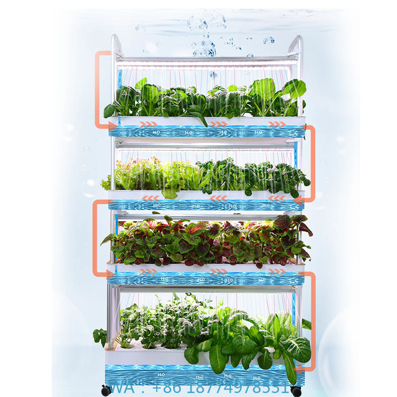 ydroponic Planting System Smar - Diy Home Automation System review and price