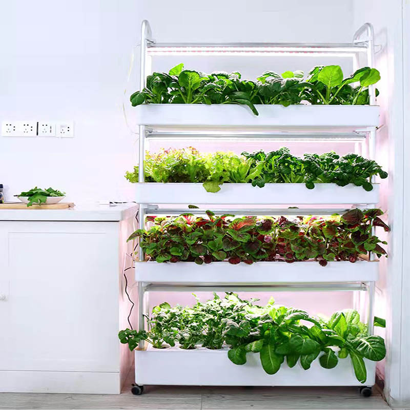 ydroponic Planting System Smar - Diy Home Automation System review and price