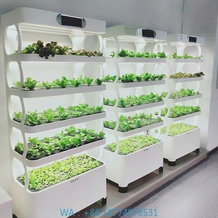 Hydroponic Automated Grow Syst - Diy Home Automation System review and price